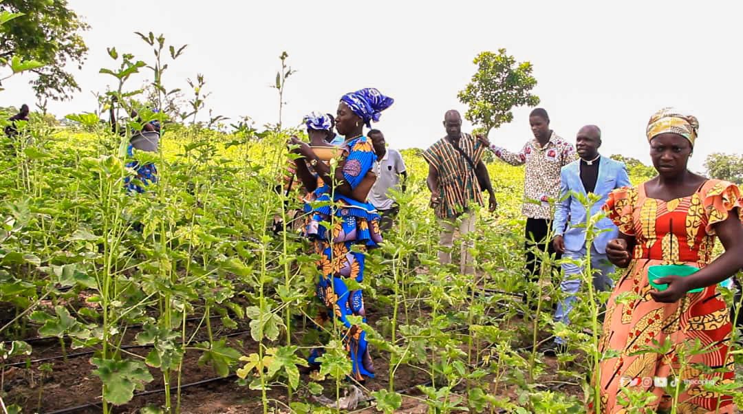thecophq's tweet photo. The 10-acre solar-powered irrigation farm project of @thecophq (PENTSOS) directly supports 50 smallholder farmers who cultivate vegetables such as okra, onion, pepper, tomatoes, cabbage etc. and reduces their dependency on rain-fed agriculture
#PENTSOS | #PossessingtheNations https://t.co/2LeGUFHxTn
