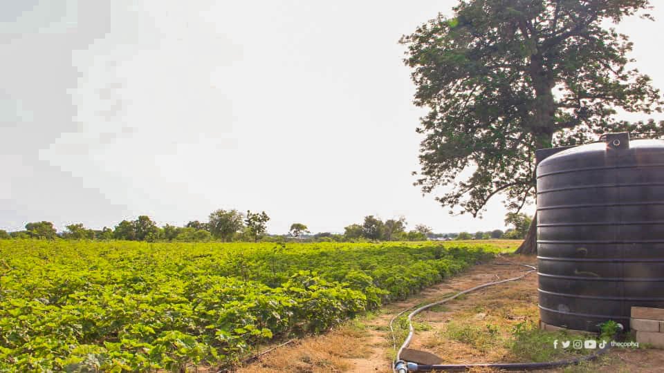 thecophq's tweet photo. The 10-acre solar-powered irrigation farm project of @thecophq (PENTSOS) directly supports 50 smallholder farmers who cultivate vegetables such as okra, onion, pepper, tomatoes, cabbage etc. and reduces their dependency on rain-fed agriculture
#PENTSOS | #PossessingtheNations https://t.co/2LeGUFHxTn