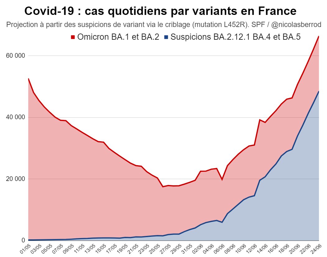 FWReAGvWYAEUtLS?format=jpg