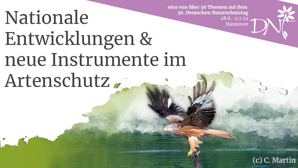 naturschutztag's tweet photo. Der Erhalt der #Artenvielfalt als Menschheitsaufgabe &amp; ethische Verpflichtung🌍. BuReg mit #Artenhilfsprogramm zur Bekämpfung der #Artenkrise. Was sind aktuelle Änderungen &amp; Entwicklungen für den #Artenschutz? Wie muss erfolgreiches Artenhilfsprogramm aussehen? ✅FVIIM3 #dnt2022 https://t.co/wSPBkvFt7T
