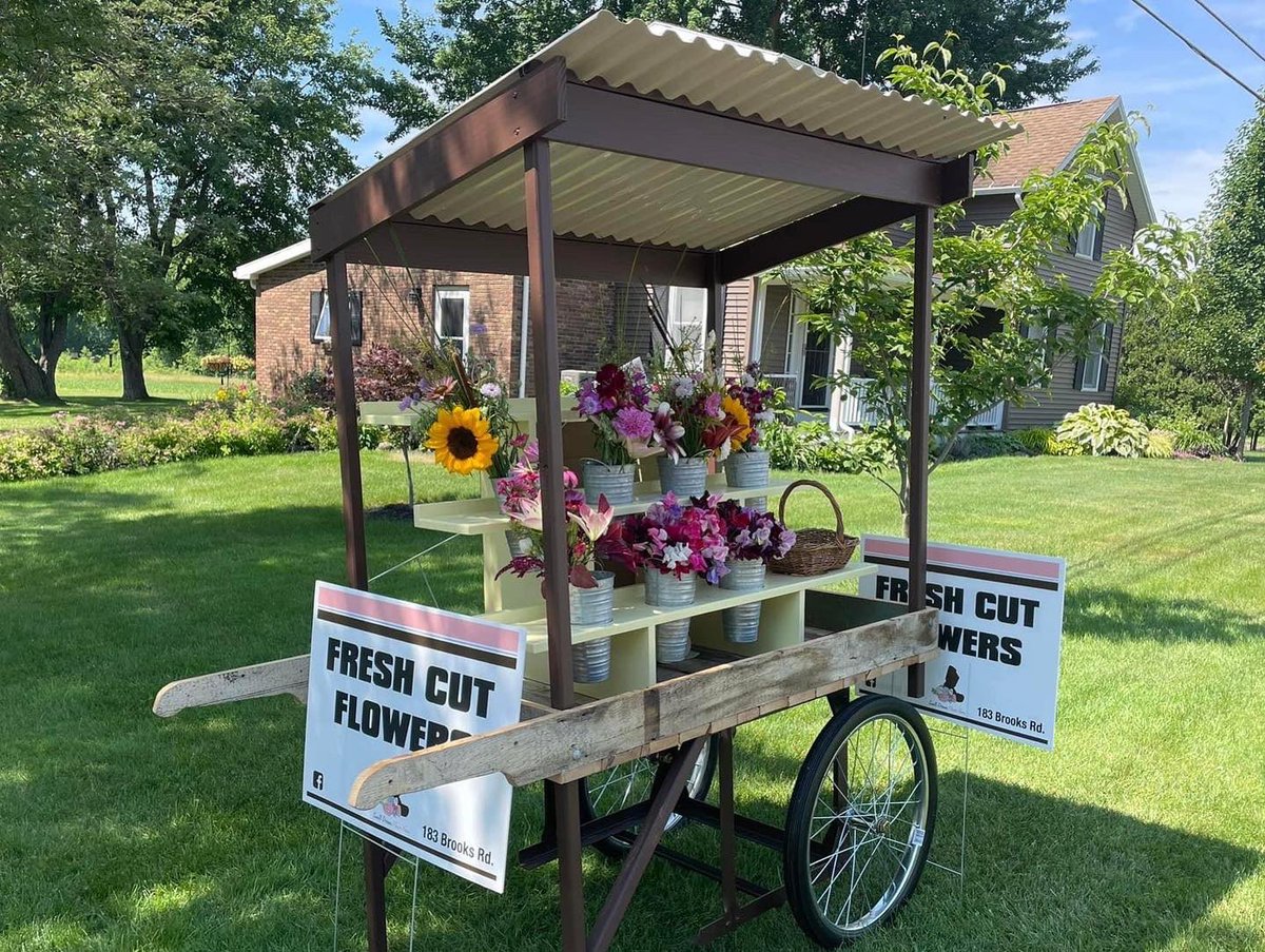 PinstripesMedia's tweet photo. Beautiful gardens are supported by @Lowes 🪴👩🏻‍🌾

Gardeners are supported by the @BoostO2 that is AT Lowe’s! 

@GibbyRocks10 @BenitoKomadina @JoeMcFarland_ @2589mayacarter @katlynzora #purifiedoxygen #boostoxygen #loweshomeimprovement 
📍West Henrietta, NY https://t.co/nvNVupK0DZ