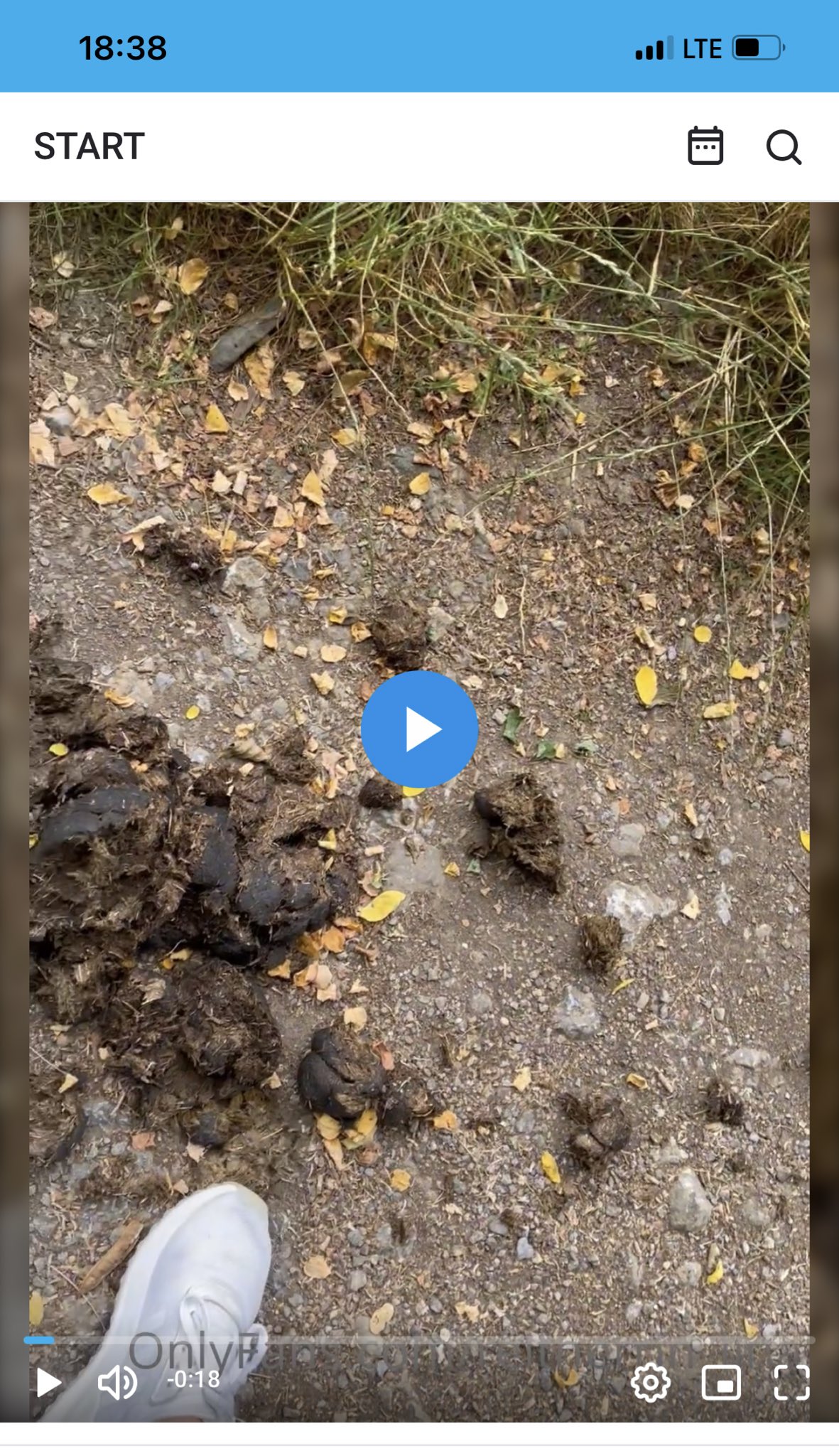 Reitherrin Lina 👑 5k + on Twitter: "Exklusive Bilder & Videos täglich