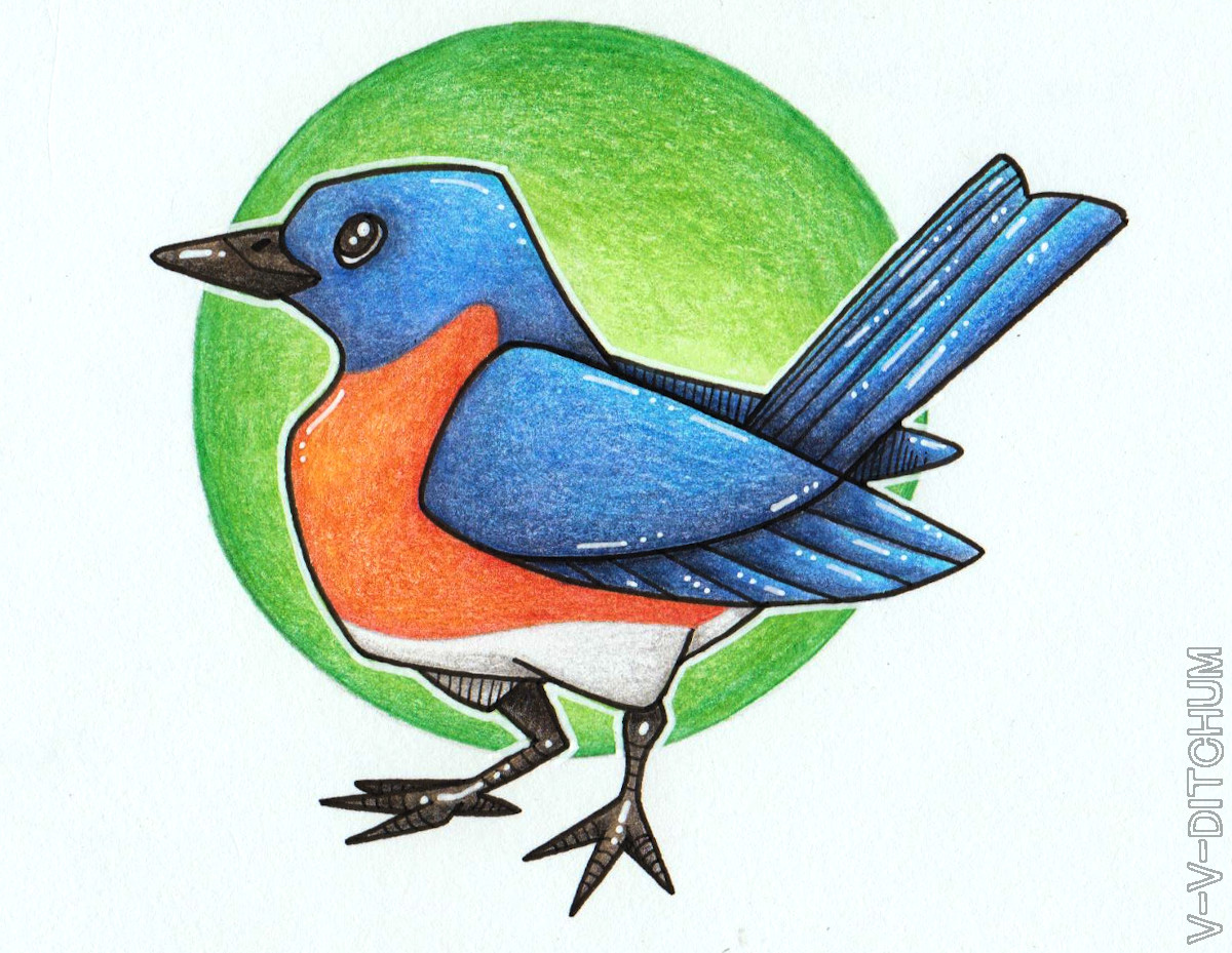 VVDitchum's tweet photo. My mom requested a bluebird, her favorite ❤️

#art #ArtistOnTwitter #traditionalart #coloredpencil #bluebird #bird https://t.co/vpRMbZw1YM
