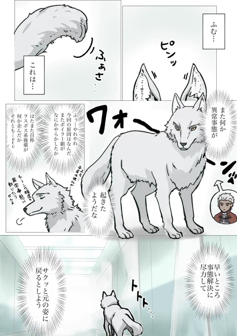 なんらかの原因で狼化したエミヤと通りかかったアサエミさん
アニマルセラピー(1/2) 