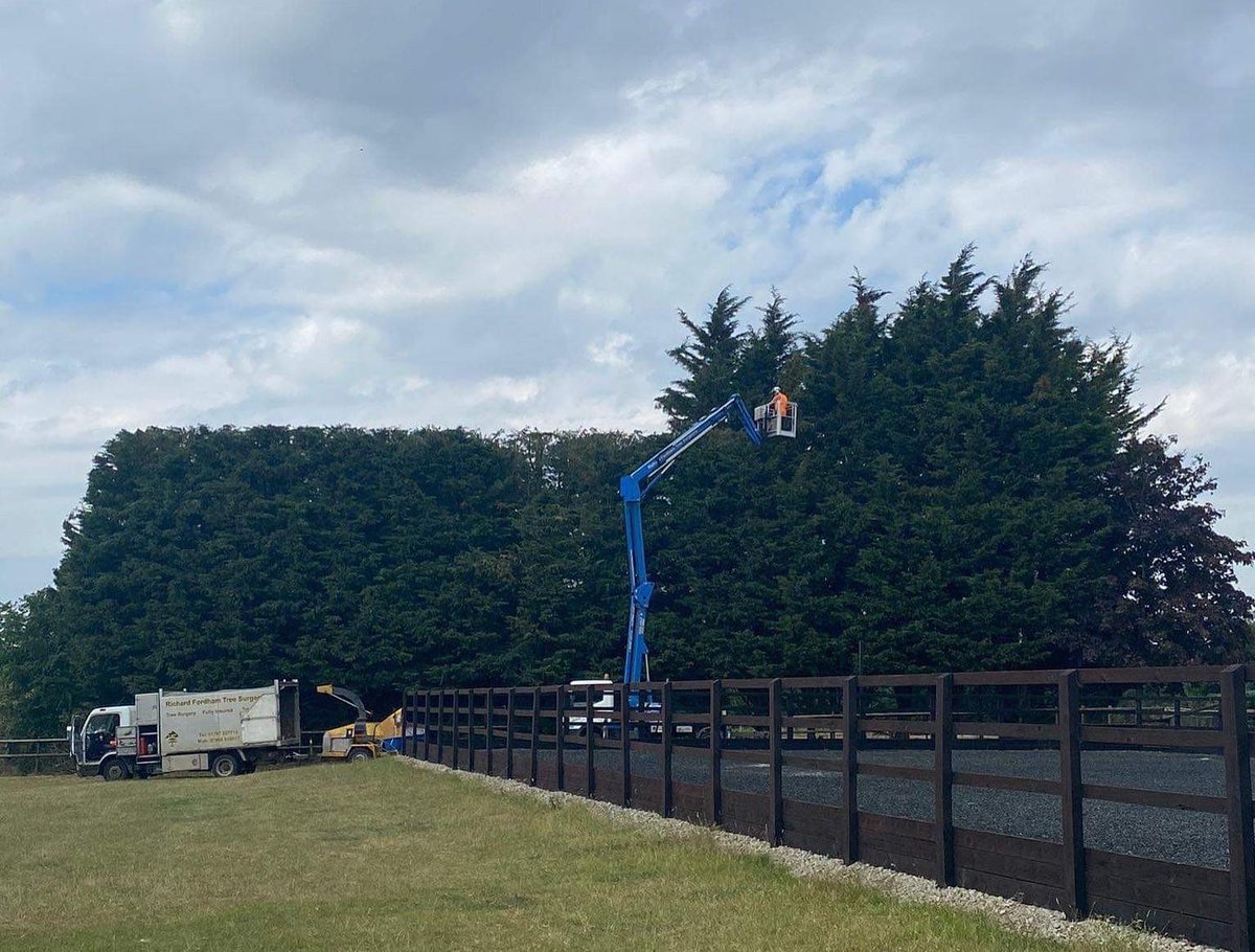 RFTreeSurgeons's tweet photo. One of our teams reduced this mature conifer hedge as there were concerns over the trees potentially failing or having major limbs snap.
https://t.co/hCgDeV6McW https://t.co/KhFUnZl0h5