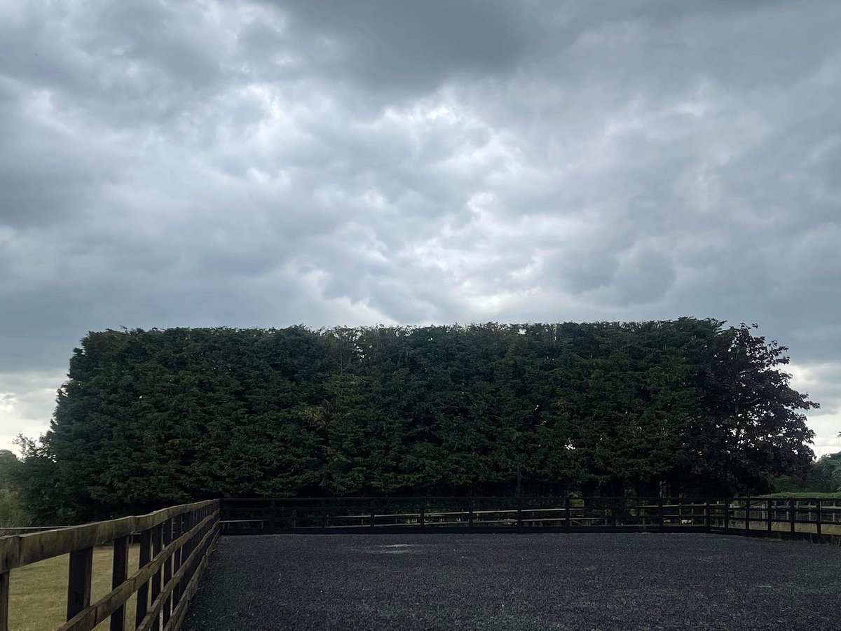 RFTreeSurgeons's tweet photo. One of our teams reduced this mature conifer hedge as there were concerns over the trees potentially failing or having major limbs snap.
https://t.co/hCgDeV6McW https://t.co/KhFUnZl0h5