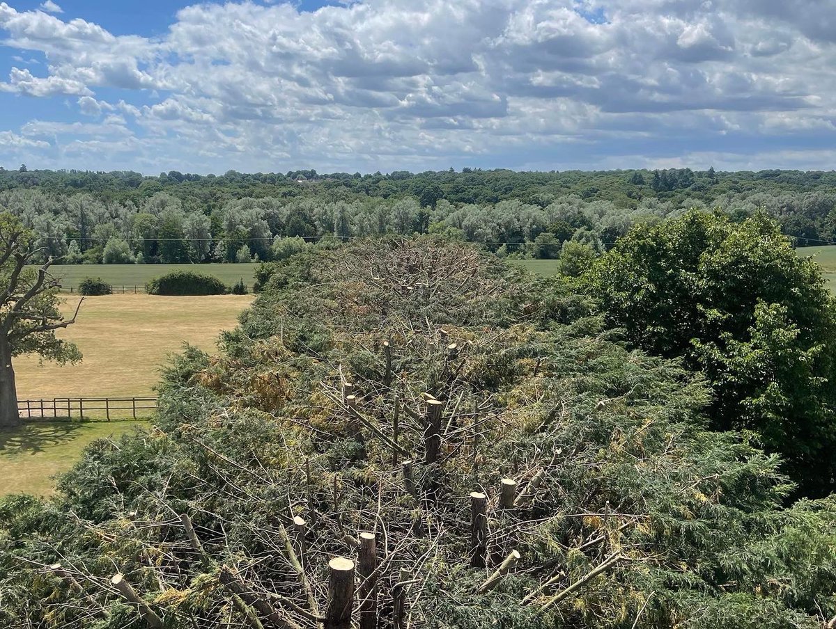 RFTreeSurgeons's tweet photo. One of our teams reduced this mature conifer hedge as there were concerns over the trees potentially failing or having major limbs snap.
https://t.co/hCgDeV6McW https://t.co/KhFUnZl0h5