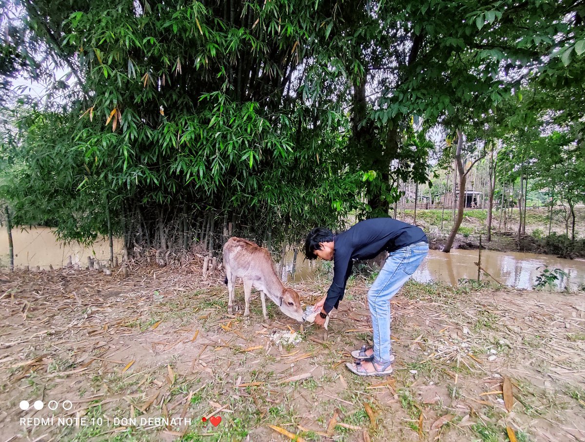DebnathDon's tweet photo. #FloodRelief Day 9🙏
#teamindependent 🚩 https://t.co/SJeTvCUetC