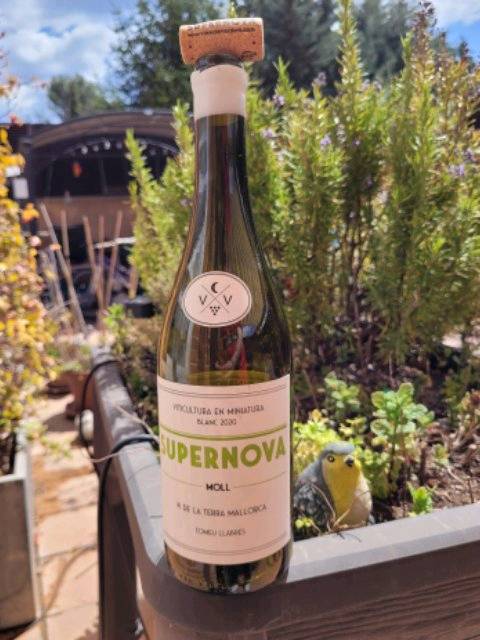 Alegre. Algo salino y de buena acidez.
Equilibrio.
Buen….Wine en Bodega Ca'n Verdura por Vivino: vivino.com/users/fernando…