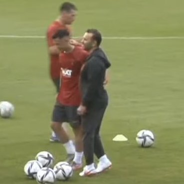 nandoo muslera tweet media