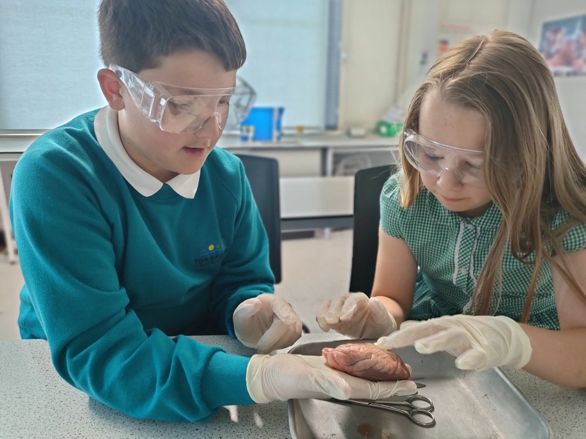 TBPSchool's tweet photo. Thank you to the @torbridgehigh Science department for a great afternoon consolidating our learning on the circulatory system! We’ve some budding scientists and doctors among 6OB! @ScienceWeekUK @BritSciAssoc @STEMHub_SWest @WinSTEMplym https://t.co/n8cEsYcghc