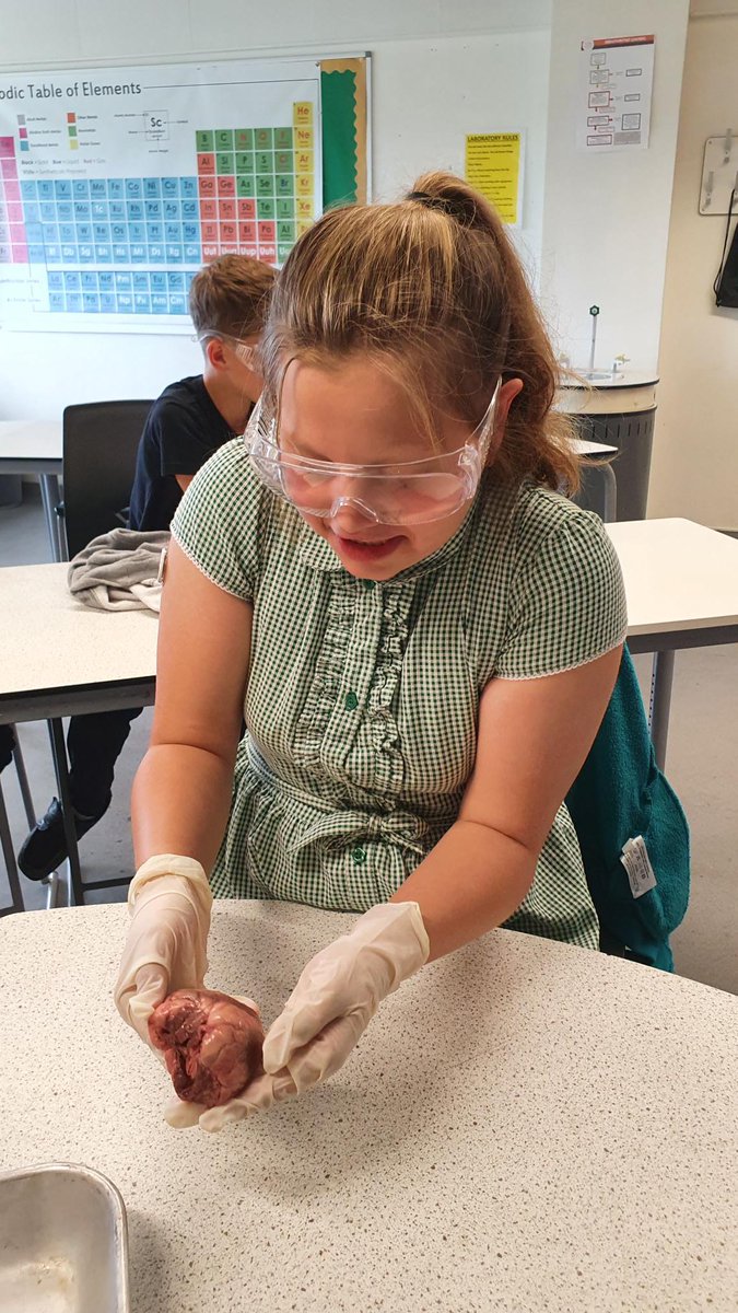 TBPSchool's tweet photo. Thank you to the @torbridgehigh Science department for a great afternoon consolidating our learning on the circulatory system! We’ve some budding scientists and doctors among 6OB! @ScienceWeekUK @BritSciAssoc @STEMHub_SWest @WinSTEMplym https://t.co/n8cEsYcghc