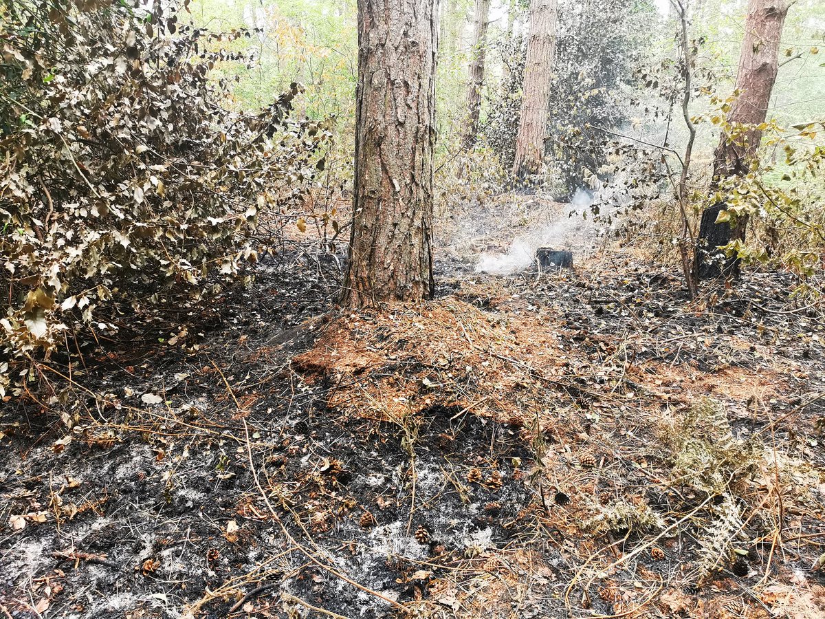 Edwinstowe Fire Station tweet media