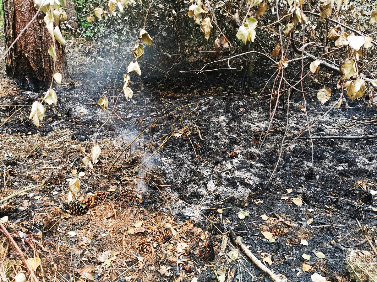 Deliberate forest fire damage caused at Brake Lane Boughton Woods. These actions have consequences that can be avoided. #EdwinstoweBlueWatch <a href="/nottsfire/">Nottinghamshire Fire and Rescue Service</a>