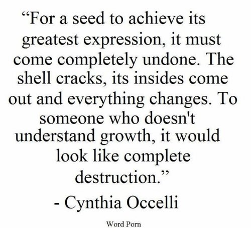 Mark (@aliontranik) on Twitter photo 