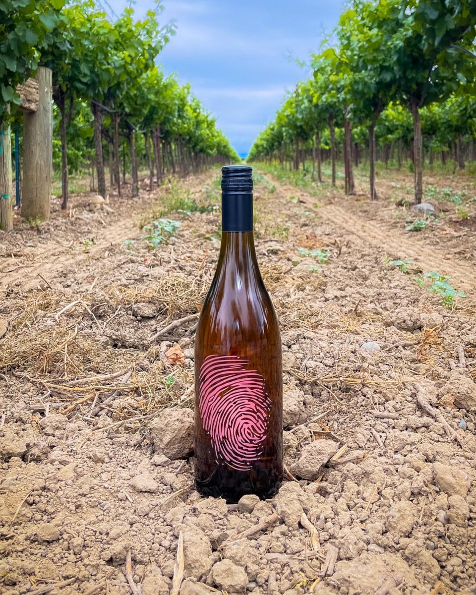 ✨🍉Rosé brightens up any day! Even the Monday’s😊🌴 Need a moment to refresh? Sit back, open this wine, pour into your wine glass, sip and smell aromas of subtle watermelon, passion fruit, pink hibiscus.