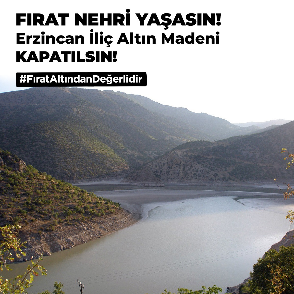 #FıratAltındanDegerlidir Divriği, Munzur, İliç, Malatya yaşasın. Yaşatın.
<a href="/mal_cep/">Mal-Çep Malatya Çevre Platformu</a> <a href="/ilicdogacevre/">İliç Doğa ve Çevre Platformu</a> <a href="/dvrgkltr/">Divriği Kültür Derneği</a> <a href="/SadokSdd/">SADOK</a>