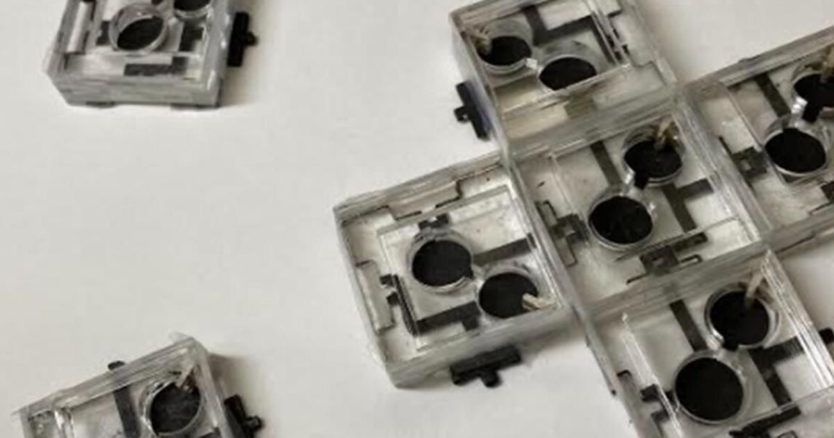 maximaxoo's tweet photo. #Future #Tech: #TripleLayer bacterial #biobattery produces electricity for weeks — new biobatteries contain three layers of distinct #bacteria, each with their own job to do in producing electricity
👁 ► https://t.co/22KAESAXR7 ◄ via @nwtls https://t.co/dk9rwhnGKa