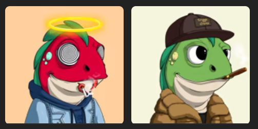 Baseunique08's tweet photo. @TheSnuggleSquad LFG! 🚀🚀 https://t.co/VYYGzBEa35