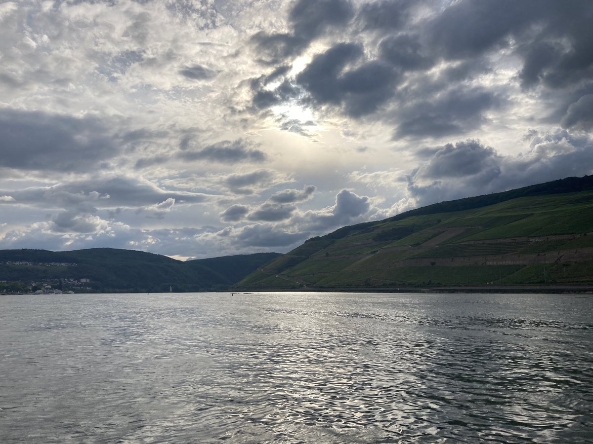 Mark Dearing tweet media