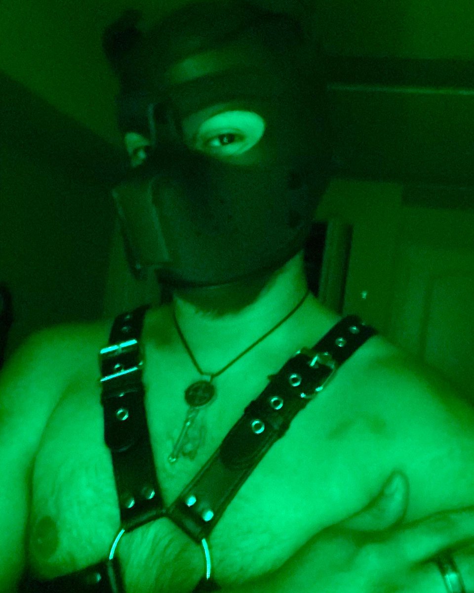 Sup_pup444's tweet photo. Hello everyone hope you all are having a wonderful pride month! I took a few pics in commemoration of pride month hope u like them!!
•
•
#PrideMonth #lgbt #gay #bi #leatherpride #pup #sub #kinkyfun #selfie https://t.co/Q2oEr7muuV