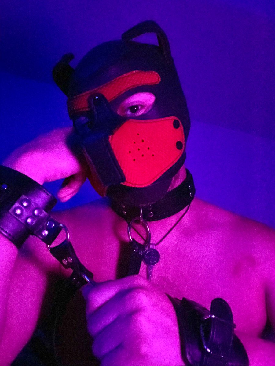 Sup_pup444's tweet photo. Hello everyone hope you all are having a wonderful pride month! I took a few pics in commemoration of pride month hope u like them!!
•
•
#PrideMonth #lgbt #gay #bi #leatherpride #pup #sub #kinkyfun #selfie https://t.co/Q2oEr7muuV