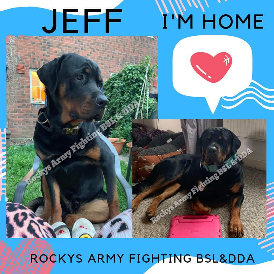 rockysarmyvbsl's tweet photo. Today's good news story. Jeff a 1yr old Rottie who was seized after he was involved in an accident. Was returned home today after an agreement was made between the Police &amp; his owner without the need to go to court. 
#MondayMotivation #Rottweiler
Website: https://t.co/0m7bVMFYEK https://t.co/jpqS5G1EzZ