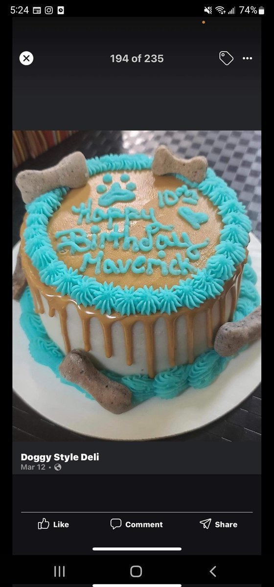 doggystyledeli's tweet photo. Got to love the new drip cakes.  So fun.  Comes in different colors.  But this one is a peanut butter drip.  
@doggystyledeli 
#dogsrock
#bestdogcakes
#dogpecialtycakes
#dogsandpeanutbutter
#dogsoftwitter https://t.co/FYzuQydvjl
