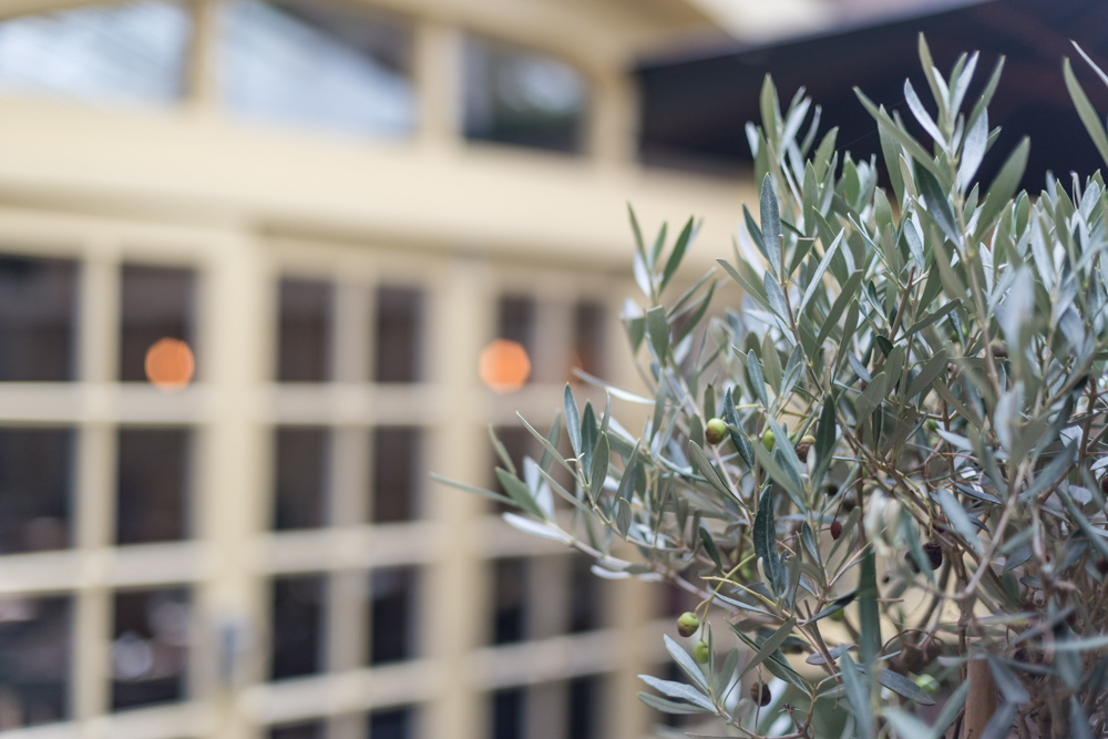 We're sorry to say that from today our #Greenwich restaurant is closed for good. We'd like to thank all our customers for their support and to remind you that our #Blackheath restaurant still serves the same food and London's best Argie wine list so please do come see us there!