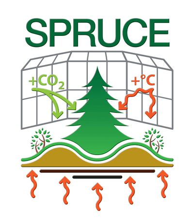 The Richardson Lab @EcossNAU <a href="/NAU/">NAU</a> has a postdoc opening working on phenology at the DOE SPRUCE experiment (mnspruce.ornl.gov) with #PhenoCam data. Info here: tinyurl.com/3529wb3n