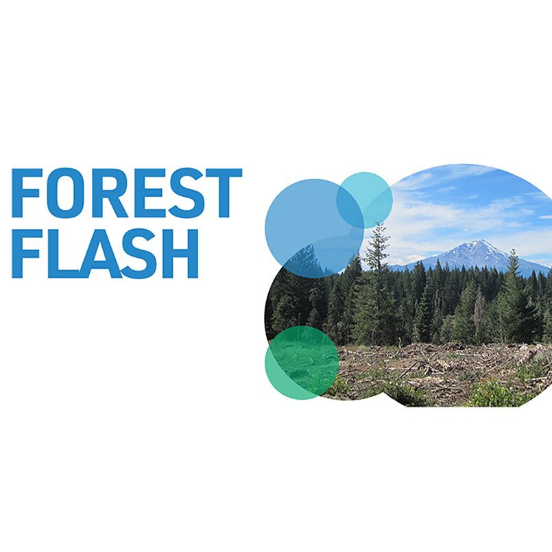 PacificForest's tweet photo. See @PacificForest Trust’s #ForestFlash https://t.co/2DuOq9qg2I The new issue is coming up this week! #SubscribeNow for #free & get the latest PFT #news & updates on #forests, clean #water, #climate, & #wildlife delivered to your e-mail each month. https://t.co/gBTSdnD3nm https://t.co/UmPBi8HaFH