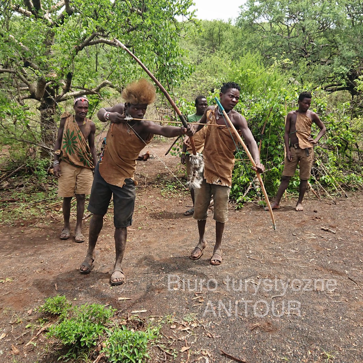 anitourPL's tweet photo. Plemię Tindikika - odpowiednik kongijskich pigmejów - których język „click” uważany jest za jeden z prajęzyków ludzkości.  

#tanzania #afryka #polowanie #busz #mężczyźni #drzewa #krajoobraz #podróże #turystyka #łuk https://t.co/UVg5xxLvKT