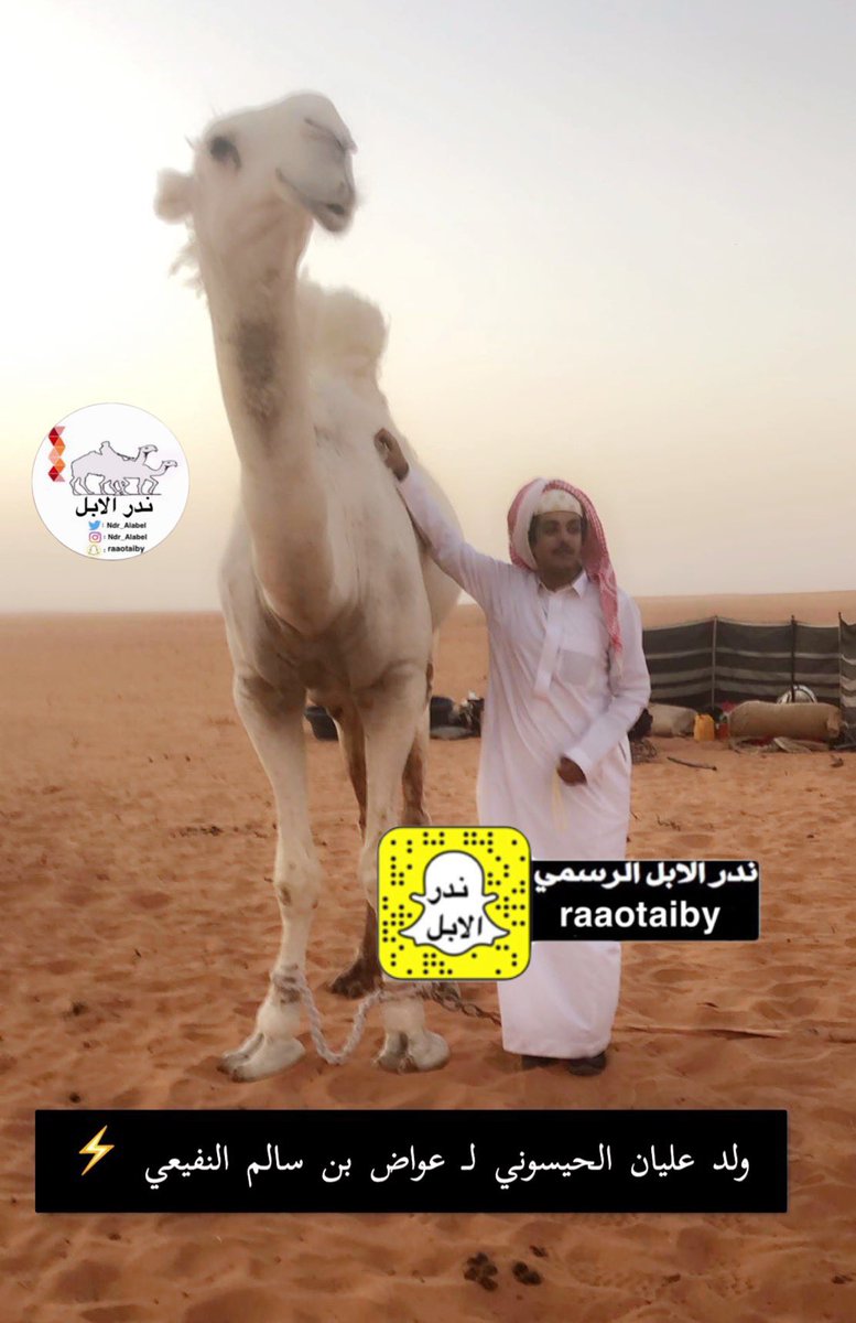 lilililmlililil's tweet image. #عليان_حرب .. الذي أظهر سمعته طيب حرب