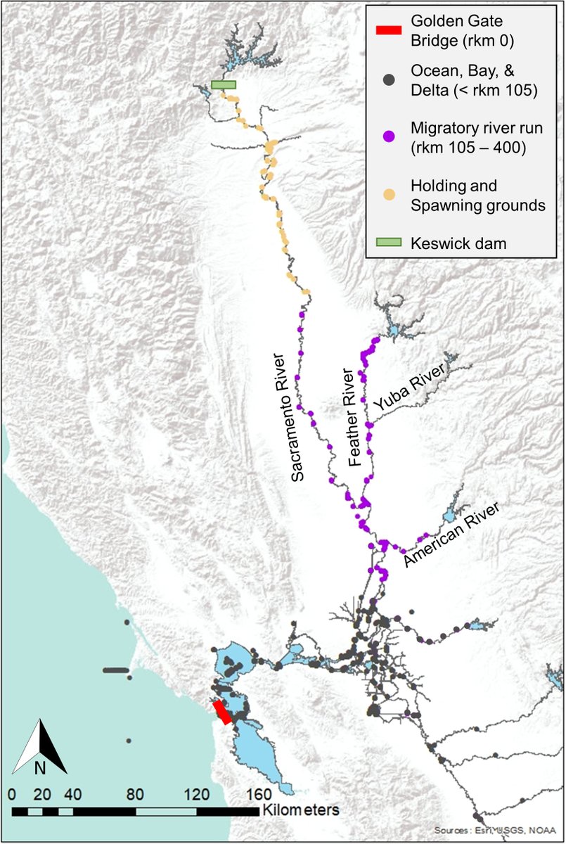 Ecosphere tweet media