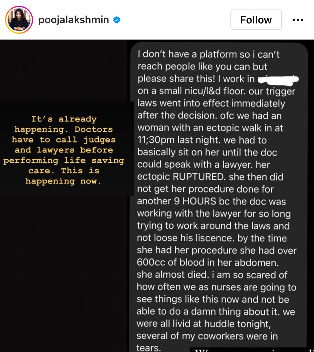 Alexandra Kyle tweet media