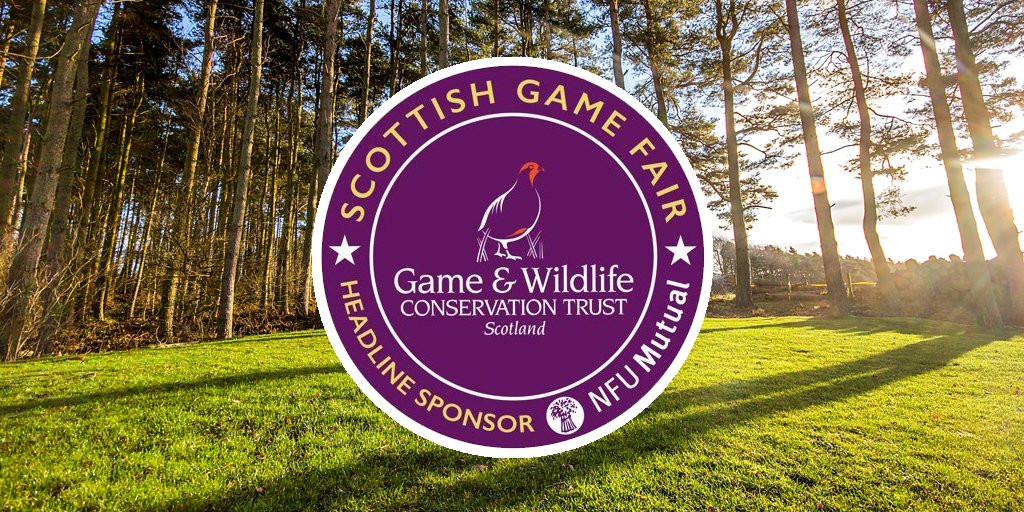 Pitchup.com tweet media