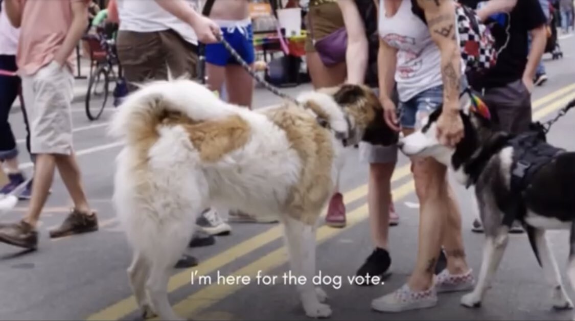 Dogs4YuhLine's tweet photo. hai yes we’re pawsitively joyful about electing @yuhline for #NY10 #NiouYork10

💸🐶donate: https://t.co/bJuUrluTEZ 
🐾🐕 vol: https://t.co/PTtph70nLm 
💻🐕‍🦺 learn more: https://t.co/JyKovqAlZy https://t.co/FMZMgRbzPH