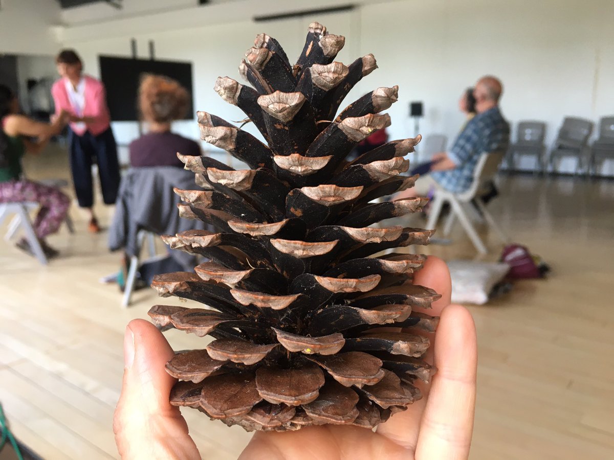 WalkingForest4's tweet photo. Thank you https://t.co/4IQiztc3LE @DartingtonArts for hosting us at ‘Sentient Performativities: thinking alongside the human’

We shared our #WalkingForest project, invited the group to consider how they stand up for nature &amp; how we can enact our connectedness in the public realm https://t.co/aZnZcPoZmH