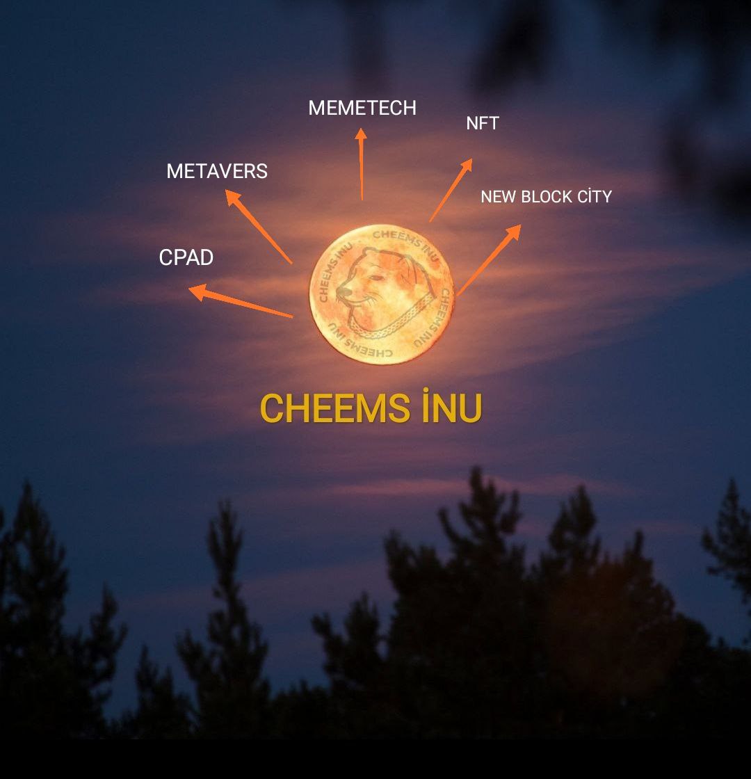 04Ramo04's tweet photo. Hey guys come on #CheemsInu meet #SHIB #doge, it has the potential to leave behind, just look at its wepsite and you will fall in love, come join us and have a chance to become a millionaire π₯π₯π₯ #CheemsMemeContest https://t.co/dUOPnNlOGy