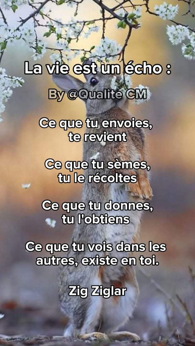 CmQualite's tweet photo. Autant le savoir, la vie est un écho !!! 😉
#psychologiepositive #developpementpersonnel #citation #citationpositive #vie #echo #envoyer #revenir #semer #recolter #donner #obtenir #voir #exister https://t.co/x28eIBo8LV