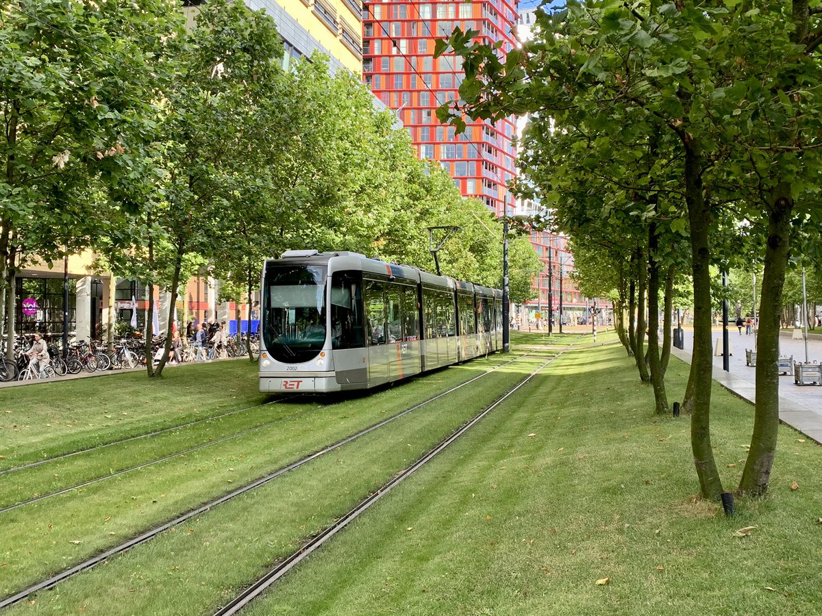 Er zijn maar weinig vervoersmiddelen zó groen in het landschap en de stad te verwerken als de tram!🚋🌳🤩 #duurzamemobiliteit #rotterdam #openbaarvervoer