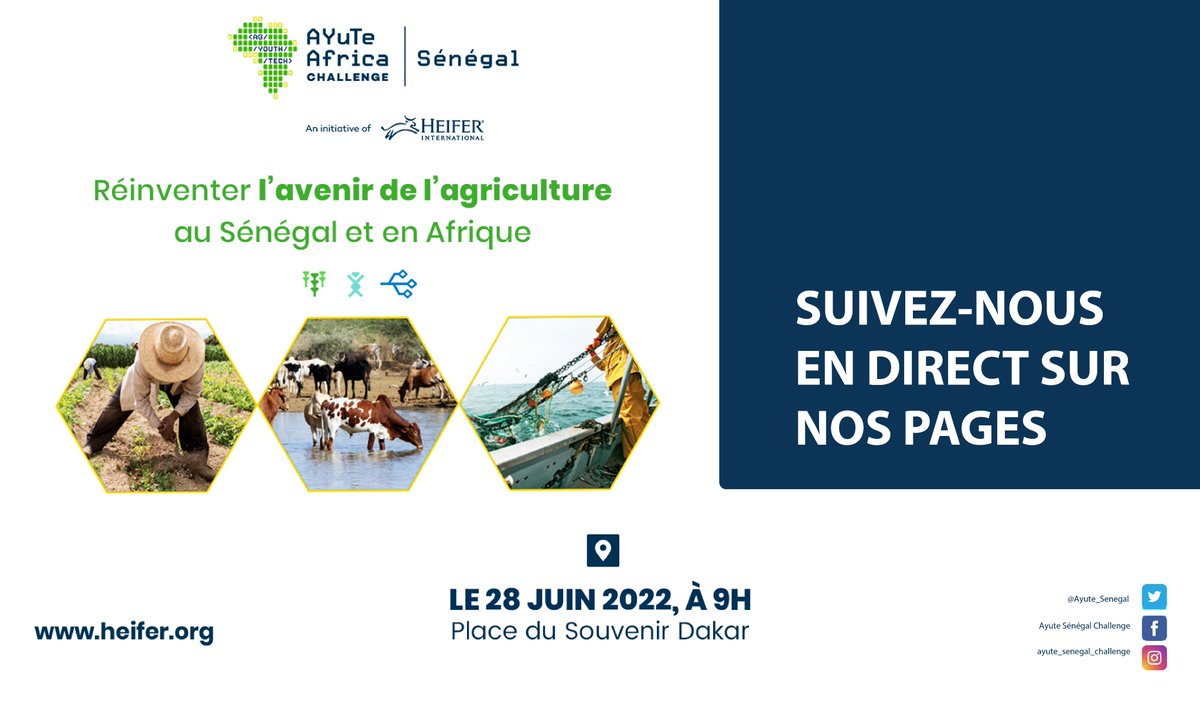 Qui sera le champion du concours national Ayute Africa Challenge Sénégal ?
Restez à l'écoute pour la réponse, suivez-nous en direct sur Facebook, Twitter et Instagram le 28 juin 2022 à partir de 9h
#agritech #agriculture #technologies #agtech #agribusiness #innovation  #heifer