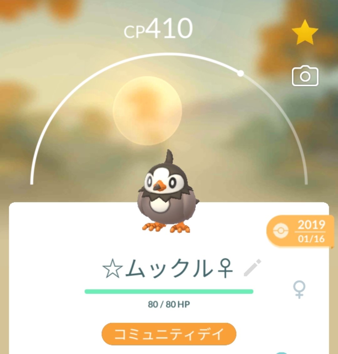 春田まゆら 進化させずに温存していた100ムックルを進化させる時が来るようだ W ポケモンgo Pokemongo T Co Rlbj01zmfz Twitter