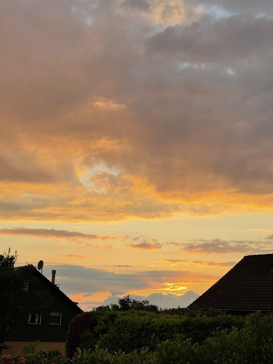 Violaodorata tweet media