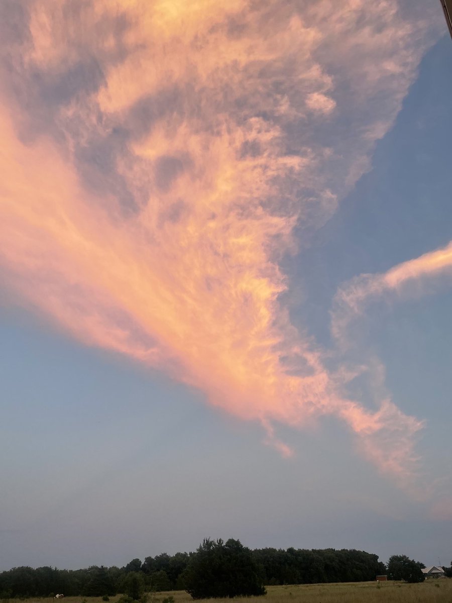 Kay19041918's tweet photo. Evening color over the vineyard. https://t.co/dHraNJlIPO
