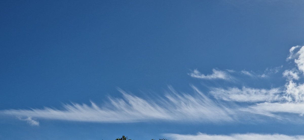 Dr Emma-Kate Matthews tweet media