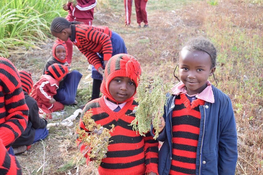 Loah_Org's tweet image. Our journey towards #forestrestoration 
💡#seedcollecting 
With our favorite #restorers 💚🌳

#generationrestoration 
#thinklandscape 
#actlandscape 
@YIL_Initiative 
@GlobalLF