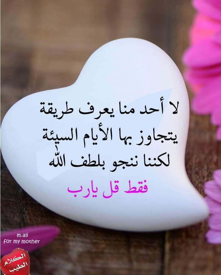 ابوحسن النعيمى (@2b6aphrkcdvn4vm) on Twitter photo 
