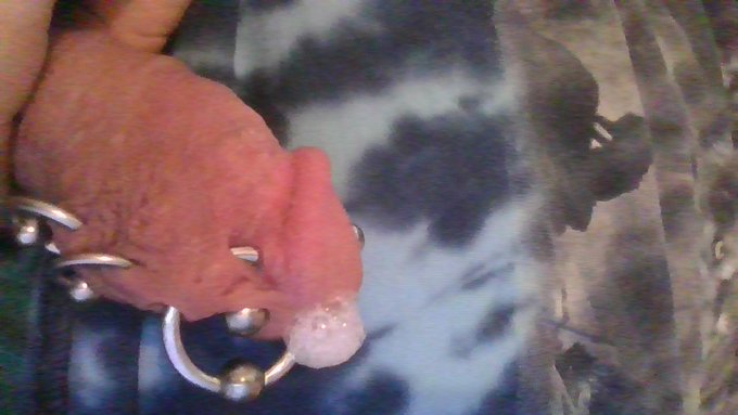 a bit of precum 2 start the day https://t.co/KOjiYHmy3u<a href="/tag/jacobsladder"class="tags"><span>#jacobsladder</span></a><a href="/tag/streamate"class="tags"><span>#streamate</span></a><a href="/tag/piercedcock"class="tags"><span>#piercedcock</span></a><a href="/tag/princealbertpiercing"class="tags"><span>#princealbertpiercing</span></a>