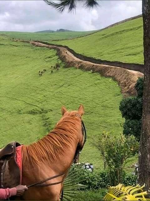 m_angalisi's tweet photo. #RwandaIsKiling,
#VisitDRCongo https://t.co/t6x7262Sxo